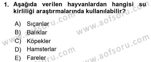 Laboratuvar Hayvanlarını Yetiştirme ve Sağlığı Dersi 2024 - 2025 Yılı (Vize) Ara Sınav Soruları 1. Soru