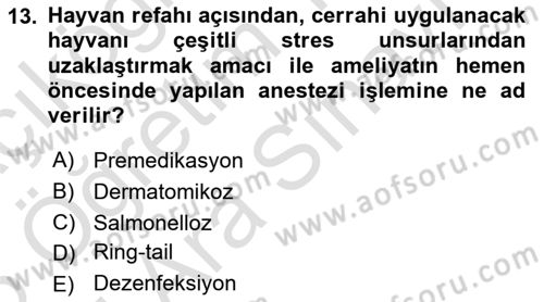 Laboratuvar Hayvanlarını Yetiştirme ve Sağlığı Dersi 2024 - 2025 Yılı (Vize) Ara Sınav Soruları 13. Soru