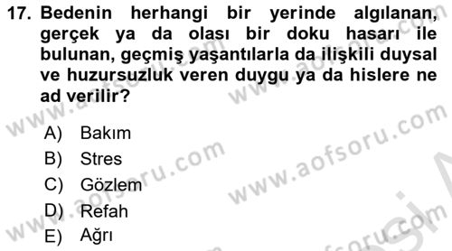 Laboratuvar Hayvanlarını Yetiştirme ve Sağlığı Dersi 2024 - 2025 Yılı (Vize) Ara Sınav Soruları 17. Soru
