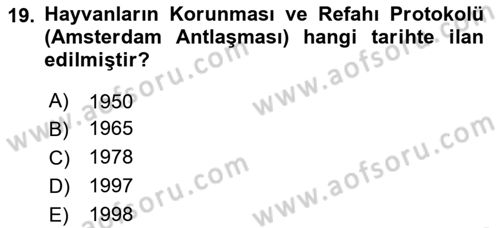 Laboratuvar Hayvanlarını Yetiştirme ve Sağlığı Dersi 2024 - 2025 Yılı (Vize) Ara Sınav Soruları 19. Soru