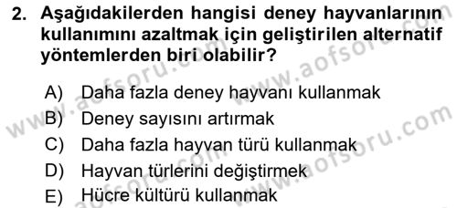 Laboratuvar Hayvanlarını Yetiştirme ve Sağlığı Dersi 2024 - 2025 Yılı (Vize) Ara Sınav Soruları 2. Soru