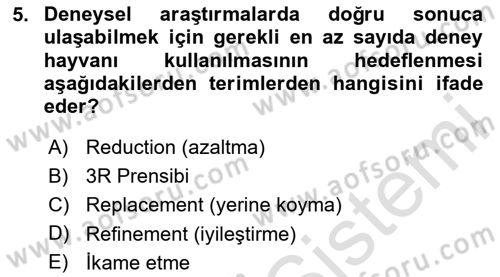Laboratuvar Hayvanlarını Yetiştirme ve Sağlığı Dersi 2024 - 2025 Yılı (Vize) Ara Sınav Soruları 5. Soru