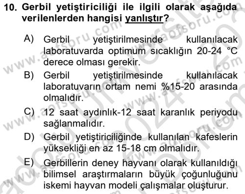 Laboratuvar Hayvanlarını Yetiştirme ve Sağlığı Dersi 2024 - 2025 Yılı (Final) Dönem Sonu Sınav Soruları 10. Soru