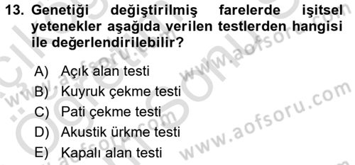 Laboratuvar Hayvanlarını Yetiştirme ve Sağlığı Dersi 2024 - 2025 Yılı (Final) Dönem Sonu Sınav Soruları 13. Soru