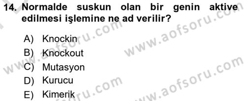 Laboratuvar Hayvanlarını Yetiştirme ve Sağlığı Dersi 2024 - 2025 Yılı (Final) Dönem Sonu Sınav Soruları 14. Soru
