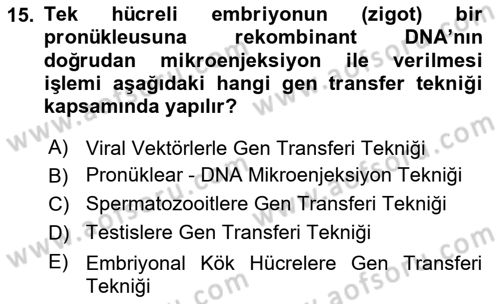 Laboratuvar Hayvanlarını Yetiştirme ve Sağlığı Dersi 2024 - 2025 Yılı (Final) Dönem Sonu Sınav Soruları 15. Soru