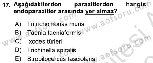 Laboratuvar Hayvanlarını Yetiştirme ve Sağlığı Dersi 2024 - 2025 Yılı (Final) Dönem Sonu Sınav Soruları 17. Soru