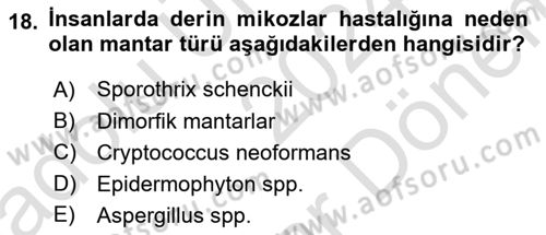Laboratuvar Hayvanlarını Yetiştirme ve Sağlığı Dersi 2024 - 2025 Yılı (Final) Dönem Sonu Sınav Soruları 18. Soru