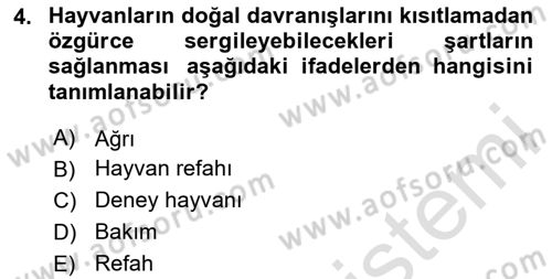 Laboratuvar Hayvanlarını Yetiştirme ve Sağlığı Dersi 2024 - 2025 Yılı (Final) Dönem Sonu Sınav Soruları 4. Soru