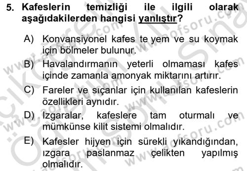 Laboratuvar Hayvanlarını Yetiştirme ve Sağlığı Dersi 2024 - 2025 Yılı (Final) Dönem Sonu Sınav Soruları 5. Soru