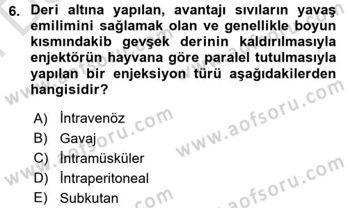 Laboratuvar Hayvanlarını Yetiştirme ve Sağlığı Dersi 2024 - 2025 Yılı (Final) Dönem Sonu Sınav Soruları 6. Soru