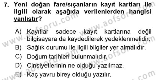 Laboratuvar Hayvanlarını Yetiştirme ve Sağlığı Dersi 2024 - 2025 Yılı (Final) Dönem Sonu Sınav Soruları 7. Soru