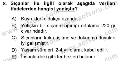 Laboratuvar Hayvanlarını Yetiştirme ve Sağlığı Dersi 2024 - 2025 Yılı (Final) Dönem Sonu Sınav Soruları 8. Soru