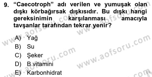 Laboratuvar Hayvanlarını Yetiştirme ve Sağlığı Dersi 2024 - 2025 Yılı (Final) Dönem Sonu Sınav Soruları 9. Soru