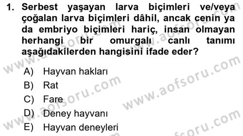 Laboratuvar Hayvanlarını Yetiştirme ve Sağlığı Dersi 2024 - 2025 Yılı Yaz Okulu Sınav Soruları 1. Soru