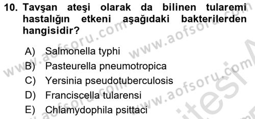 Laboratuvar Hayvanlarını Yetiştirme ve Sağlığı Dersi 2024 - 2025 Yılı Yaz Okulu Sınav Soruları 10. Soru