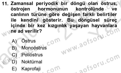 Laboratuvar Hayvanlarını Yetiştirme ve Sağlığı Dersi 2024 - 2025 Yılı Yaz Okulu Sınav Soruları 11. Soru