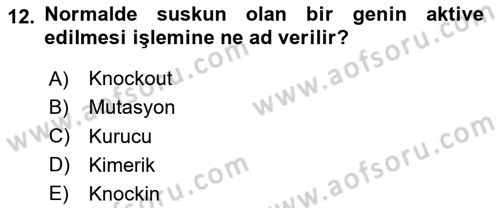 Laboratuvar Hayvanlarını Yetiştirme ve Sağlığı Dersi 2024 - 2025 Yılı Yaz Okulu Sınav Soruları 12. Soru