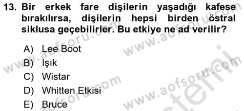 Laboratuvar Hayvanlarını Yetiştirme ve Sağlığı Dersi 2024 - 2025 Yılı Yaz Okulu Sınav Soruları 13. Soru