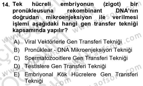 Laboratuvar Hayvanlarını Yetiştirme ve Sağlığı Dersi 2024 - 2025 Yılı Yaz Okulu Sınav Soruları 14. Soru