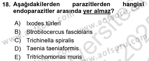 Laboratuvar Hayvanlarını Yetiştirme ve Sağlığı Dersi 2024 - 2025 Yılı Yaz Okulu Sınav Soruları 18. Soru