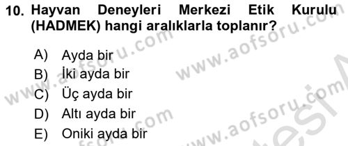 Laboratuvar Hayvanlarını Yetiştirme ve Sağlığı Dersi 2025 - 2026 Yılı (Vize) Ara Sınav Soruları 10. Soru