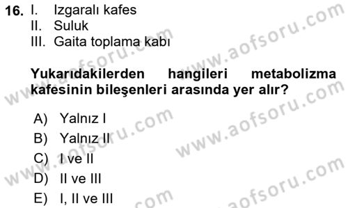 Laboratuvar Hayvanlarını Yetiştirme ve Sağlığı Dersi 2025 - 2026 Yılı (Vize) Ara Sınav Soruları 16. Soru