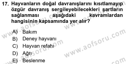 Laboratuvar Hayvanlarını Yetiştirme ve Sağlığı Dersi 2025 - 2026 Yılı (Vize) Ara Sınav Soruları 17. Soru