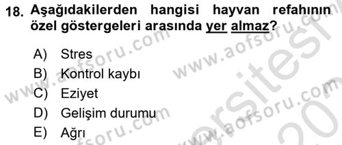 Laboratuvar Hayvanlarını Yetiştirme ve Sağlığı Dersi 2025 - 2026 Yılı (Vize) Ara Sınav Soruları 18. Soru