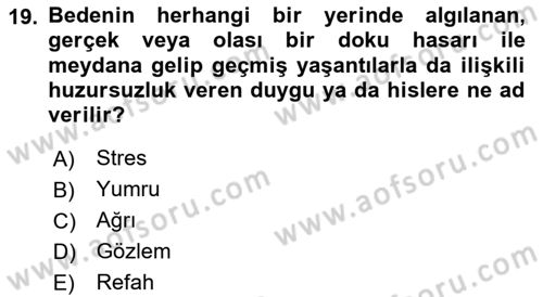 Laboratuvar Hayvanlarını Yetiştirme ve Sağlığı Dersi 2025 - 2026 Yılı (Vize) Ara Sınav Soruları 19. Soru