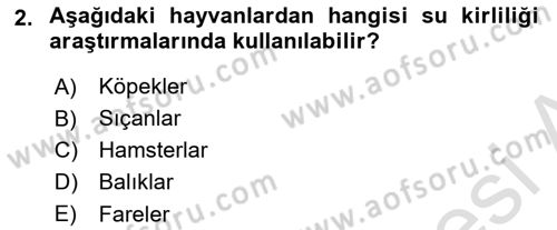 Laboratuvar Hayvanlarını Yetiştirme ve Sağlığı Dersi 2025 - 2026 Yılı (Vize) Ara Sınav Soruları 2. Soru
