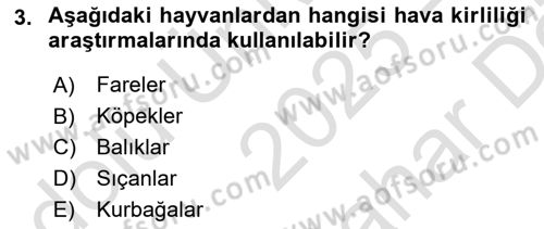 Laboratuvar Hayvanlarını Yetiştirme ve Sağlığı Dersi 2025 - 2026 Yılı (Vize) Ara Sınav Soruları 3. Soru