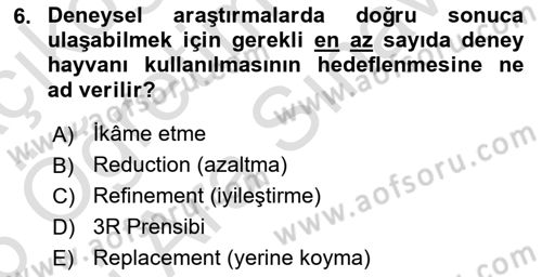 Laboratuvar Hayvanlarını Yetiştirme ve Sağlığı Dersi 2025 - 2026 Yılı (Vize) Ara Sınav Soruları 6. Soru