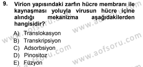 Viroloji Dersi 2012 - 2013 Yılı (Vize) Ara Sınavı 9. Soru