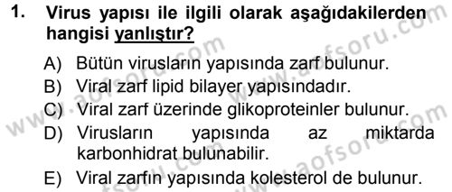Viroloji Dersi 2012 - 2013 Yılı (Final) Dönem Sonu Sınav Soruları 1. Soru