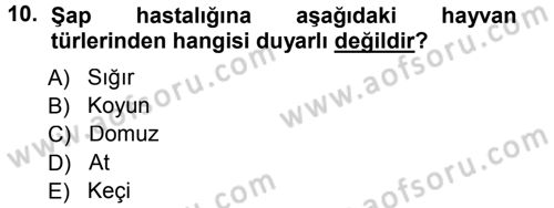 Viroloji Dersi 2012 - 2013 Yılı (Final) Dönem Sonu Sınav Soruları 10. Soru