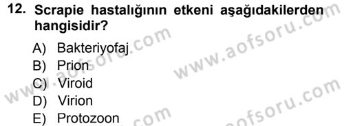Viroloji Dersi 2012 - 2013 Yılı (Final) Dönem Sonu Sınav Soruları 12. Soru