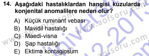 Viroloji Dersi 2012 - 2013 Yılı (Final) Dönem Sonu Sınav Soruları 14. Soru