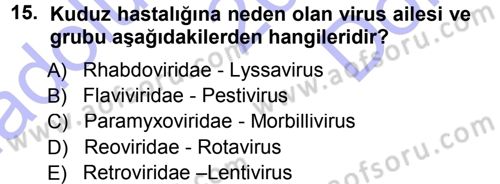 Viroloji Dersi 2012 - 2013 Yılı (Final) Dönem Sonu Sınav Soruları 15. Soru