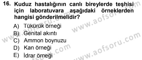 Viroloji Dersi 2012 - 2013 Yılı (Final) Dönem Sonu Sınav Soruları 16. Soru