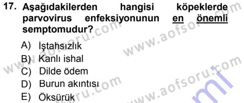 Viroloji Dersi 2012 - 2013 Yılı (Final) Dönem Sonu Sınav Soruları 17. Soru