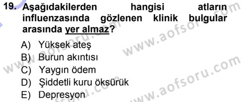 Viroloji Dersi 2012 - 2013 Yılı (Final) Dönem Sonu Sınav Soruları 19. Soru