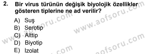 Viroloji Dersi 2012 - 2013 Yılı (Final) Dönem Sonu Sınav Soruları 2. Soru