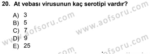 Viroloji Dersi 2012 - 2013 Yılı (Final) Dönem Sonu Sınav Soruları 20. Soru
