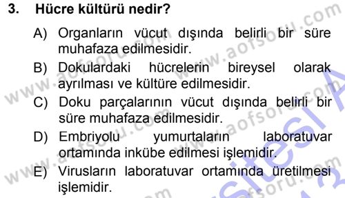Viroloji Dersi 2012 - 2013 Yılı (Final) Dönem Sonu Sınav Soruları 3. Soru