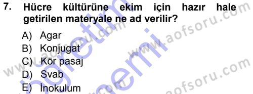 Viroloji Dersi 2012 - 2013 Yılı (Final) Dönem Sonu Sınav Soruları 7. Soru