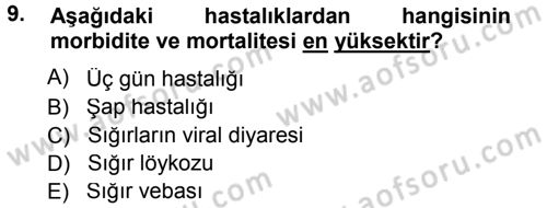 Viroloji Dersi 2012 - 2013 Yılı (Final) Dönem Sonu Sınav Soruları 9. Soru
