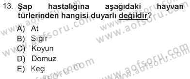 Viroloji Dersi 2012 - 2013 Yılı Tek Ders Sınavı 13. Soru