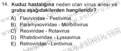 Viroloji Dersi 2012 - 2013 Yılı Tek Ders Sınavı 14. Soru