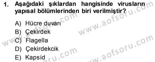 Viroloji Dersi Ara Sınavı Deneme Sınav Soruları 1. Soru